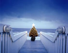 Christmas Wallpapers 311